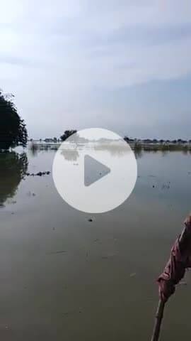 भागलपुर की नदी खतरे के निशान पर है देवरिया से लेकर पूरा देवराहवा बाबा  आश्रम तक पूरा पानी ही पानी दिखेगा आपको@##