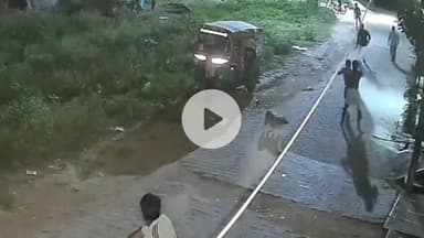 झांसी: पुलिया नंबर 9 महाराज नगर में एक शख्स को लाठी-डंडों से पीटकर किया घायल, वीडियो हुआ वायरल