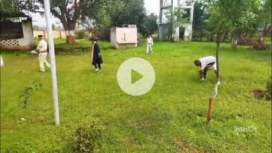 महू उप जेल में सेवा पखवाड़ा के तहत स्वच्छता अभियान, जेल स्टाफ और बंदियों ने परिसर को स्वच्छ किया