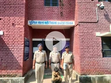 बद्दी: बारोटीवाला थाना के अंतर्गत 246 ग्राम चरस बरामद, आरोपी किया गया गिरफ्तार