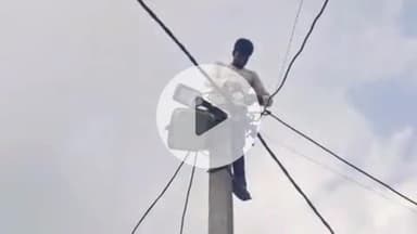 बहराइच: बहराइच जनपद में वन्य जीव सक्रियता क्षेत्र में स्थापित की गई 1390 स्ट्रीट लाइट और 61 सोलर लाइटें, सीडीओ ने दी जानकारी