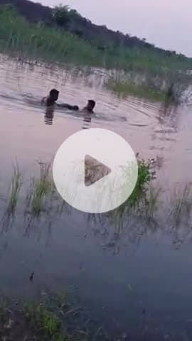 ग्राम बेलखेड़ी तहसील पटेरा जिला दमोह   एक छोटा सा बच्चा जो तालाब में डूब कर मर गया