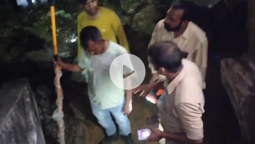 छिबरामऊ में निकला अजगर सांप || देखिए कैसे पकड़ा गया || अजगर सांप #vidioviral