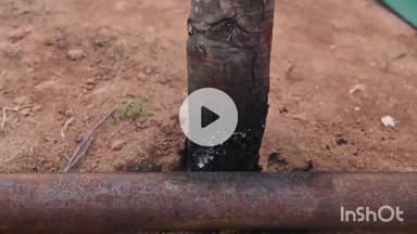 केशकाल: रावसवाही में हुए हादसे में केशकाल SDOP ने कहा, दोषियों पर होगी उचित कार्रवाई, करेंट लगने से तीन ग्रामीणों की हुई है मौत