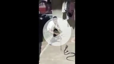 झांसी: भंडारी गेट स्थित एक घर में घुसा सांप, घर वालों में मचा हड़कंप, सपेरे ने किया रेस्क्यू, वीडियो सोशल मीडिया पर हुआ वायरल