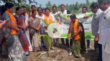 ప్రతి ఒక్కరూ అమ్మ పేరిట మొక్క నాటి సంరక్షించాలి - ఎమ్మెల్యే నల్లమిల్లి