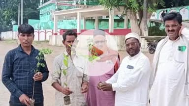 चौपारण: चौपारण चयकलां पंचायत में मनरेगा के तहत पौधों का वितरण, पर्यावरण संरक्षण का दिया संदेश