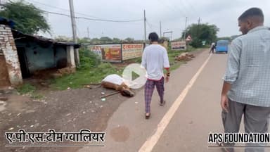 एक छोटी सी गलती के कारण एक निर्दोष पशु की जान चली गई..!
Respect girls help poor help animal’s 
#apsgurjar #cow #rip