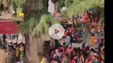 चुराह: भटकार में आज स्थानीय लोगों ने बड़े हर्षोल्लास के साथ जातर मेला मनाया