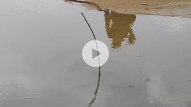 மேல்மலையனூர்: துறிஞ்சிம்பூண்டி கிராமத்தில்  பெண் அடித்துக் கொலை போலீசார் விசாரணை