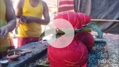 आरा: आरा शहर के विभिन्न पूजा पंडाल में नवरात्रि के पहले दिन आचार्य की मौजूदगी में धूमधाम से कलश स्थापना की गई