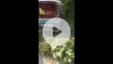 सिराथू: कड़ा से मंझनपुर जा रही थ्रीव्हीलर टैक्सी का टायर पंचर होने से दर्जिन का पूरा के पास सड़क किनारे पलटी, कई लोग घायल