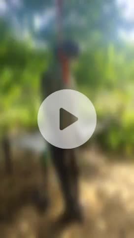 बागपत: बालैनी टोल प्लाजा के निकट एक खेत में पेड़ पर एक नौकर का शव लटका मिला, पुलिस ने शव को पोस्टमार्टम के लिए भेजा