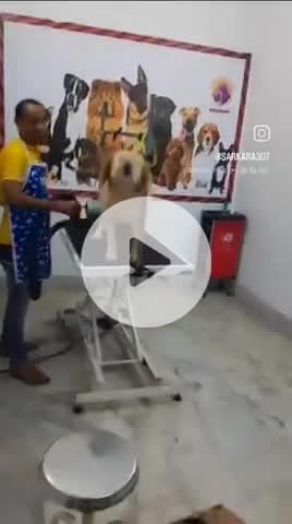 #viralreels #@$##soumya #viralvideos 
sarkar king 🤴 #$@#sarkar ##@#viralvideos #is #@$#how #@$##very #@gmail.com #vigh