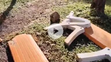 सागर नगर: सिटी फॉरेस्ट की कुर्सियां असामाजिक तत्वों ने तोड़ी, डीएफओ करेंगे कार्रवाई