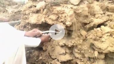 चूरू: चूरू तहसील के असलू गांव में गोबर के ढेर से पांच सांपों का सुरक्षित रेस्क्यू, परिवार ने ली राहत की सांस