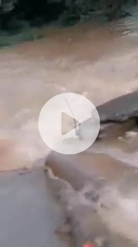 రాయికోడ్: వాగు దాటుతుండగా ప్రమాదవశత్తు నీటిలో కొట్టుకుపోతున్న వ్యక్తి వీడియో