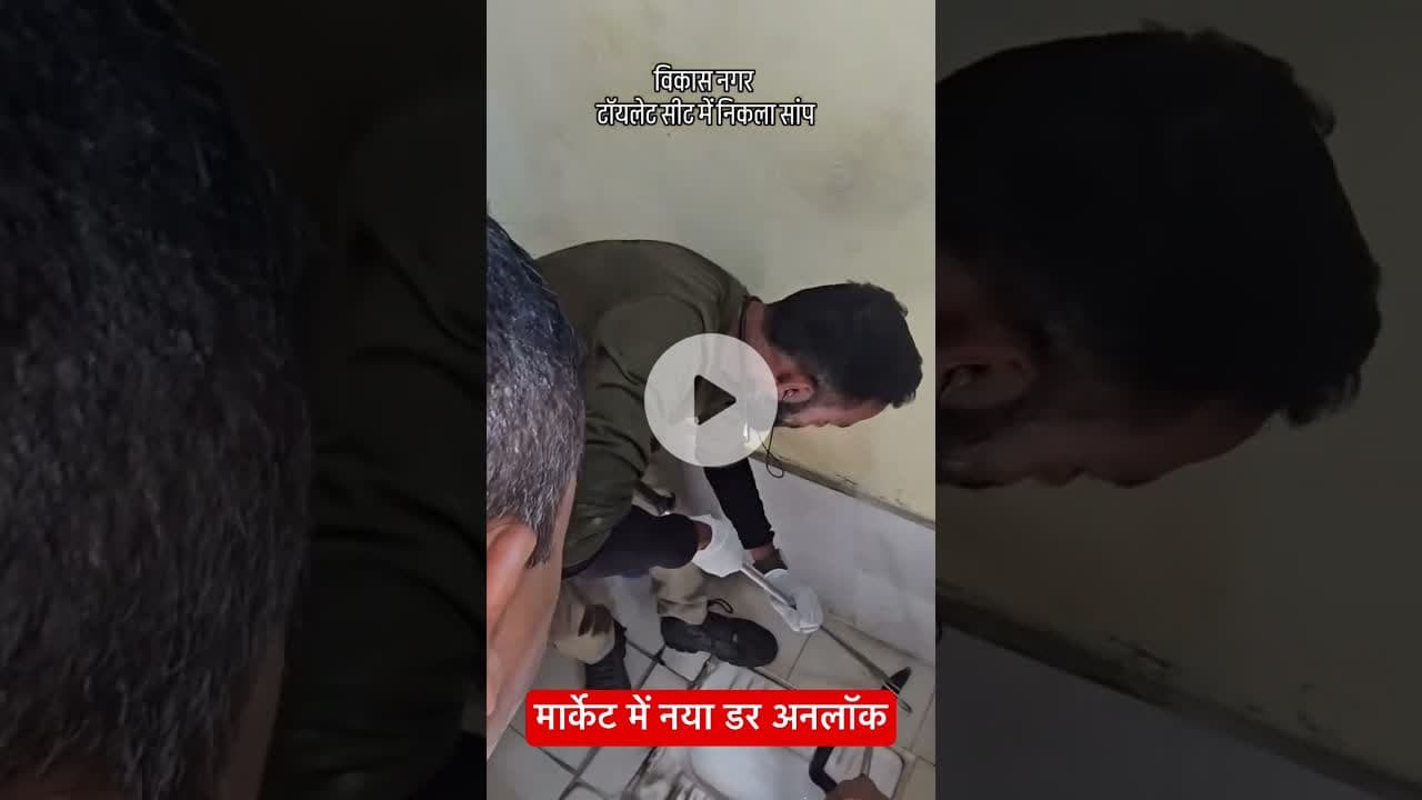 Indian cobra in toilet seat #indiancobra