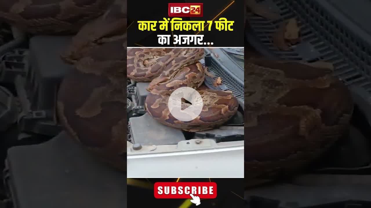 कार में निकला 7 फीट का अजगर...#shrots #barabanki #upnews #viralvideo #Python