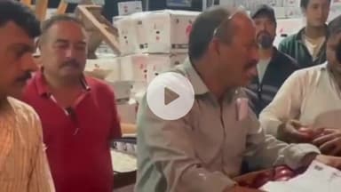 टापरी: किन्नौर के टापरी सब्जी मंडी में सेब की फसल के बड़े दाम, 2350 तक बिक रही सेब की पेटी