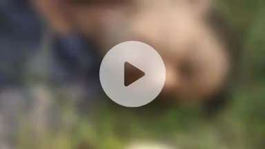 प्रतापगढ़: खभोर गांव के समीप सई नदी में मिला अधेड़ का शव, पुलिस ने भेजा पोस्टमार्टम के लिए