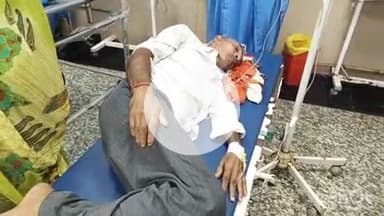 आरा: तेंदूनी गांव में फूल तोड़ने के दौरान सांप काटने से बुजुर्ग की हालत बिगड़ी, सदर अस्पताल में कराया गया भर्ती