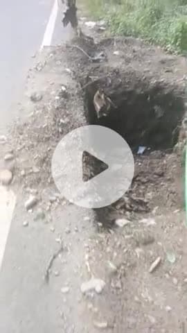 उत्तराखंड समाचार बेल पड़ाव में#