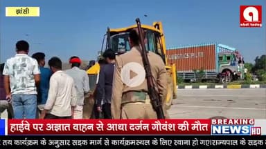 हाईवे पर अज्ञात वाहन से आधा दर्जन गौवंश की मौत