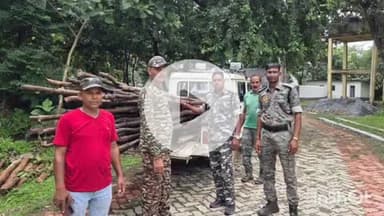 चौपारण: चौपारण  के तेतरिया जंगल में भारी मात्रा में अवैध रूप से काट कर रखा गया कीमती सखुआ  के लकड़ी को वन विभाग ने किया जप्त