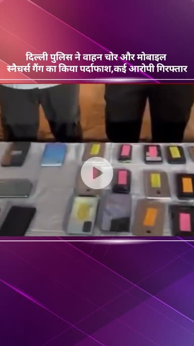 सरस्वती विहार: दिल्ली पुलिस ने वाहन चोर और मोबाइल स्नैचर गिरोह का पर्दाफाश किया, कई आरोपी गिरफ्तार
