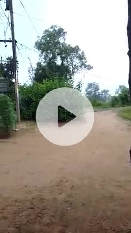 new#varal video mandla @sappot karo