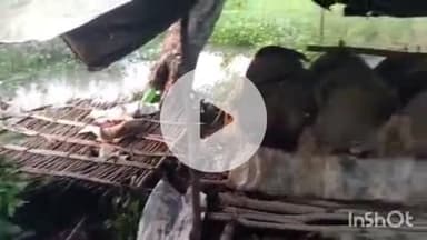 बहराइच: उपदा नाले के पास आबकारी विभाग की टीम ने की कार्रवाई, शराब बनाने का उपकरण व सामान बरामद, पांच पर मुकदमा दर्ज