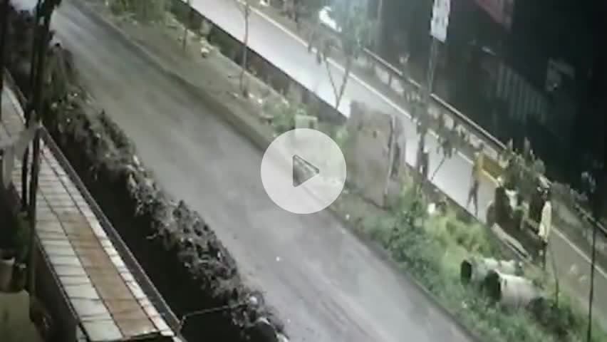 भोर: भोर तालुक्यातील वेळू येथील महामार्गाशेजारील मोठी झाडे अज्ञातांनी तोडली
