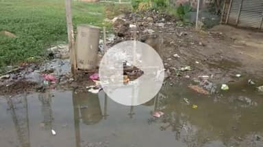 सरमेरा: सरमेरा नगर पंचायत में सफाई व्यवस्था बदहाल, ठेकेदार पर कम मजदूरी देने का आरोप