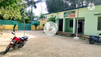 निवाड़ी ओरछा तिगेला पर वन विभाग ने अवैध लकड़ी से भरा ट्रक किया जप्त | Niwari News | MP News | #niwari_news @monti842