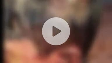 पट्टी: दशरथपुर गांव के युवक को पैसे के लेनदेन में पीटकर सर फोड़ा, गंभीर आरोपों की दी गई तहरीर