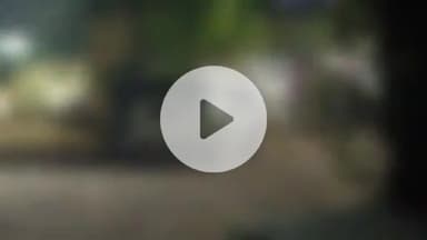 प्रतापगढ़: लच्छीपुर गांव में कॉलेज जा रही छात्रा का रास्ता रोककर, बात न करने पर सोहदे ने पीटा