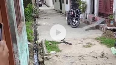 छिबरामऊ: छिबरामऊ में नागिन का जोड़ा हवा में फन लहराकर कर रहा था ऐसा कारनामा, वीडियो सोशल मीडिया पर वायरल