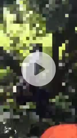 बीसलपुर: दौलतपुर पट्टी गांव में अधेड़ ने किया सुसाइड, आम के बाग में फांसी के फंदे पर लटकता मिला शव