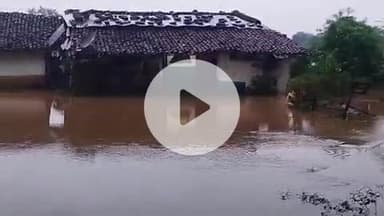 आरंग: बुधवार को हुई बारिश से आरंग क्षेत्र में फसलों को होगा नुकसान, कई जगह जलभराव