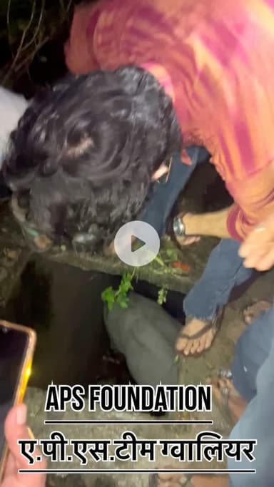 मलबा के गड़े में गो माता चली गई..! 

Respect Girls help poor help animals 

#apsgurjar #gwalior #cow