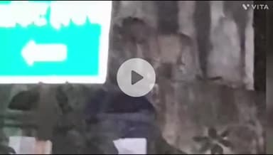 बांसवाड़ा: बांसवाड़ा शहर के डायलाब रोड़ स्थित सर्किट हाउस में पैंथर का आतंक, वन विभाग पर लापरवाही का आरोप