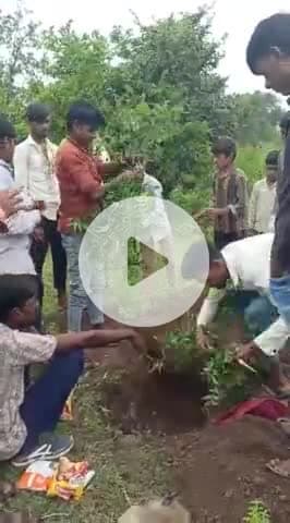 आज ग्राम हेमगीर में एक बंदर की 11kv के तार से करंट लगने से मौत हो गई गांव के लड़को ने ले जाकर विधि विधान से उसका अंतिम स