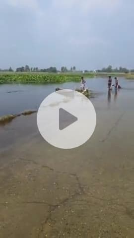 बाढ़ के पानी से पलिया के दर्जनों गांव प्रभावित