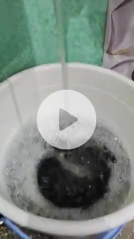 प्रशासन द्वारा पानी शिकायत नम्बर पर शिकायत करने पर भी कोई समाधान नहीं । विजय नगर हांसी रोड बासिया भवन मंगलम एनक्लेव