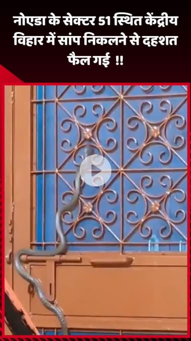 गौतम बुद्ध नगर: नोएडा के सेक्टर 51 स्थित केंद्रीय विहार में सांप निकलने से दहशत फैल गई