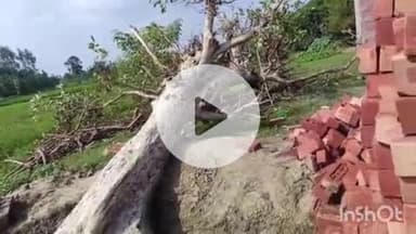 बहराइच: आदिलपुर इलाके में गूलर का पेड़ गिरने से दबकर एक बालक की मौत, एक घायल