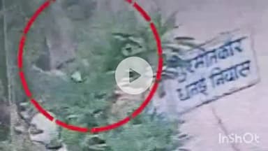 दुर्ग: दुर्ग में पुलिसवाले के नाबालिग बेटों ने कांग्रेस नेत्री के आवास परिसर में लगे CCTV से 10 एलईडी लाइट की चोरी की