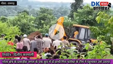 गोला क्षेत्र के प्रसाडीह जंगल के एक कुएं में दो हाथी गिरा वन विभाग के टीम ने पहुंचकर उसे उठाया