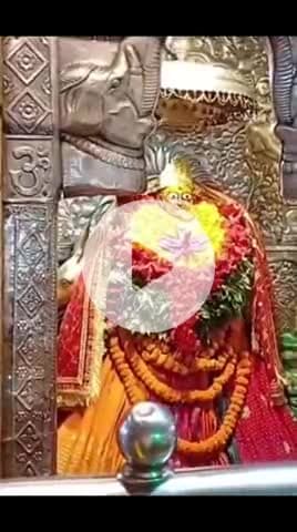 सिराथू: नवरात्रि मेले के दौरान कड़ा के शीतला धाम में आस्था का दिखा अनूठा रूप गंगा से मंदिर तक जमीन पर लेट लेट कर पहुंची महिला